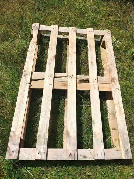 Photo of free Pallet 120x80cm (Brownsover CV21) #1