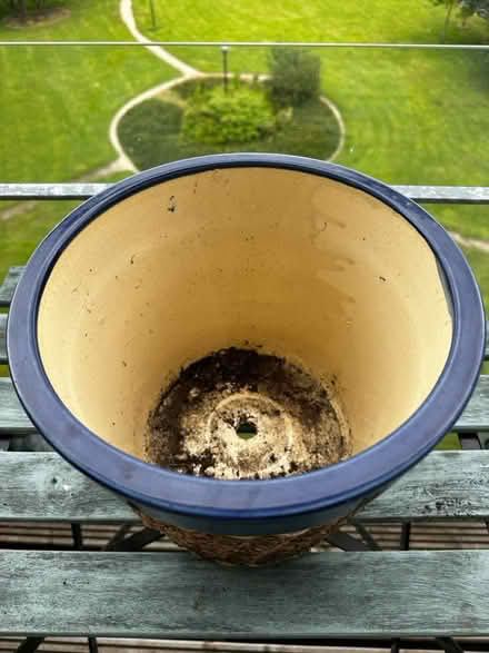 Photo of free Plant pot (Santry) #2