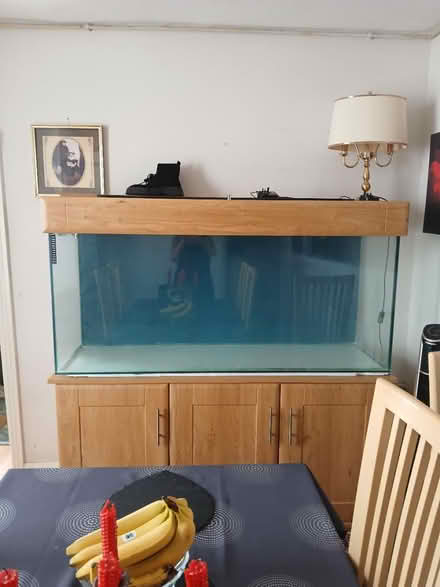 Photo of free 5ft fish tank and stand (Gillingham ME7) #1