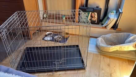 Photo of free Med Dog Cage (Hove) #1
