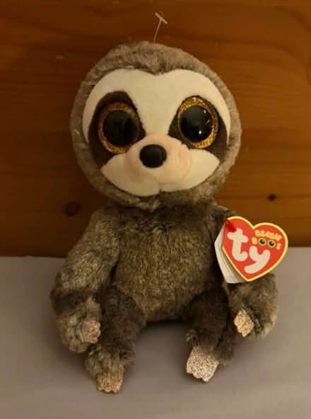 Photo of TY sloth (Woodley RG6) #1