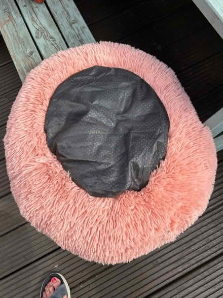 Photo of free Pink Cat Bed (Brentwood CM14) #2