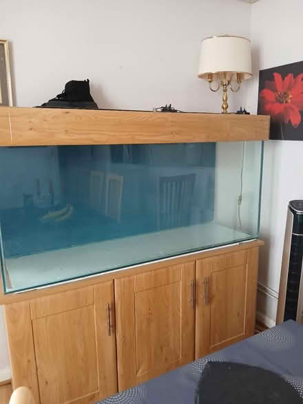 Photo of free 5ft fish tank and stand (Gillingham ME7) #2