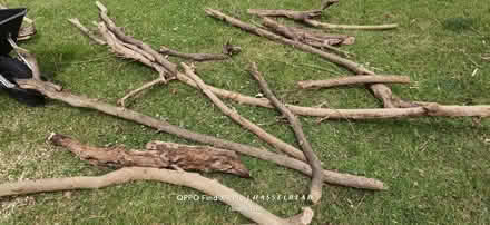 Photo of free Loads of wood for burners (Gorse Hill M32) #2