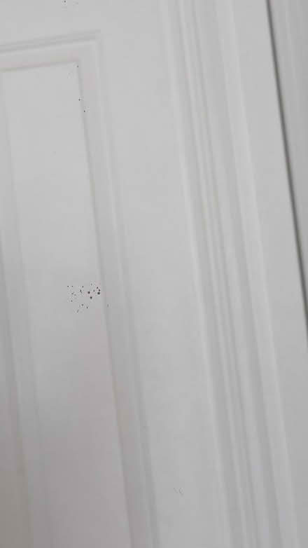 Photo of free Mirror (Hackney E9) #2