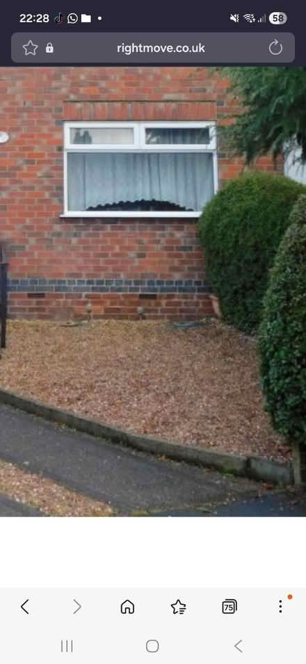 Photo of free Garden stones (DE11) #1