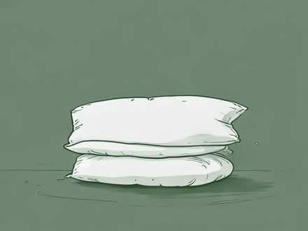 Photo of free Foam Filled Pillows (Chells Manor SG1) #1
