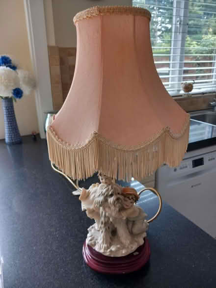 Photo of free Table Lamps (EN7 Cheshunt) #3