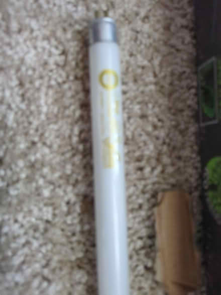 Photo of free Miniature fluorescent bulbs (Bethany and Allen Heights) #2