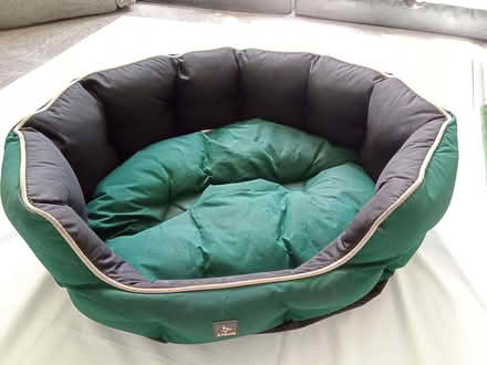 Photo of free Dog beds (Barnard's Green WR14) #1