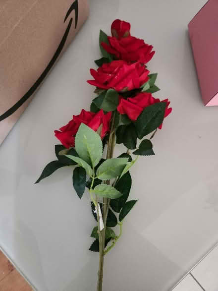 Photo of free Fake Roses (PR9 0EA) #1