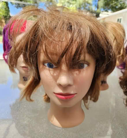Photo of free Set of Used Mannequin Heads (Saratoga, CA) #2