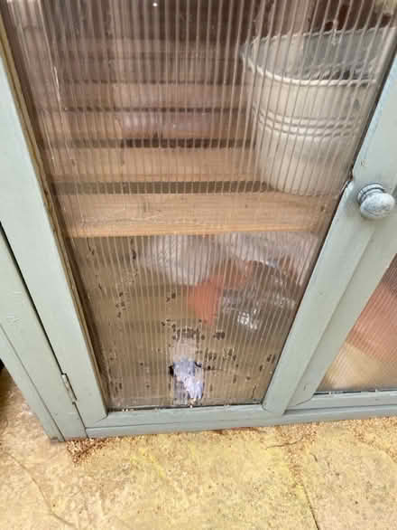 Photo of free Small Outdoor Greenhouse (B77) #2