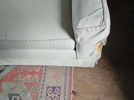 Photo of free Sofa bed (Clungunford SY7) #2