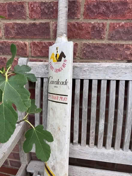Photo of free Cricket bat (Gleneagles area, Wboro NN8) #1