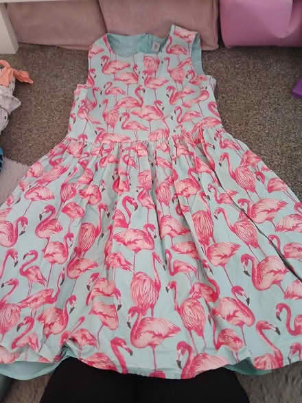 Photo of free Girls summer dress age 12yrs (S10 crookes S10) #1