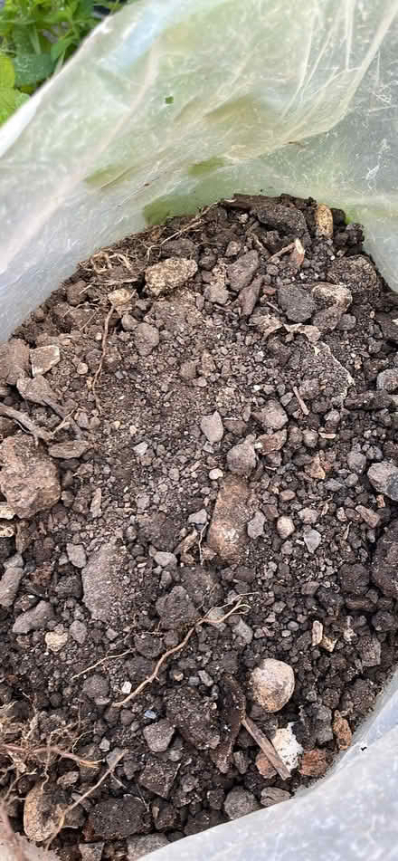 Photo of free Garden soil (Shoscombe BA2) #2