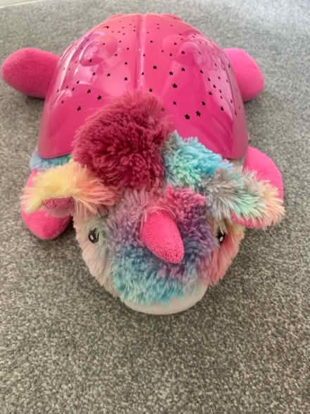 Photo of free Dream Lite Rainbow Unicorn (Burpham/Merrow GU1 1) #1