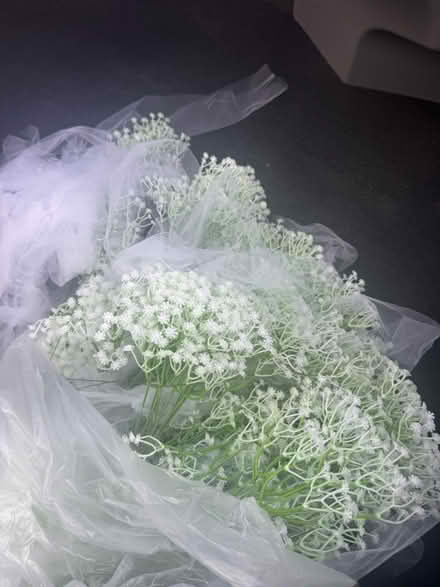 Photo of free Artificial Gypsum / Baby’s breath (SE4) #2
