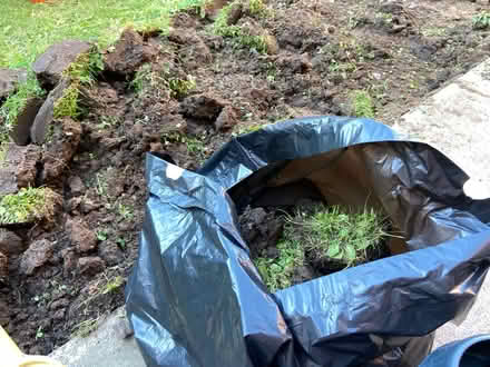 Photo of free top soil rim back garden (L7) #1