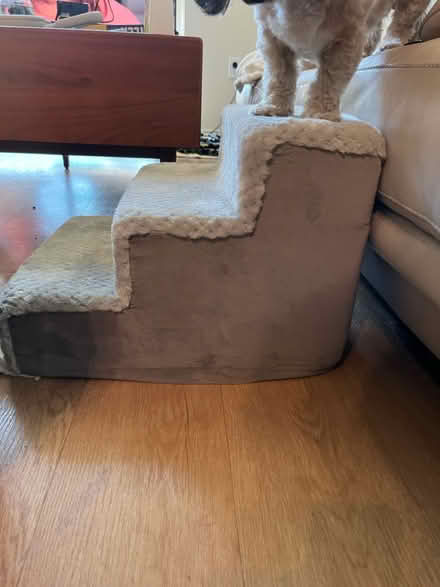 Photo of free pet stairs various colors (Oakland) #1