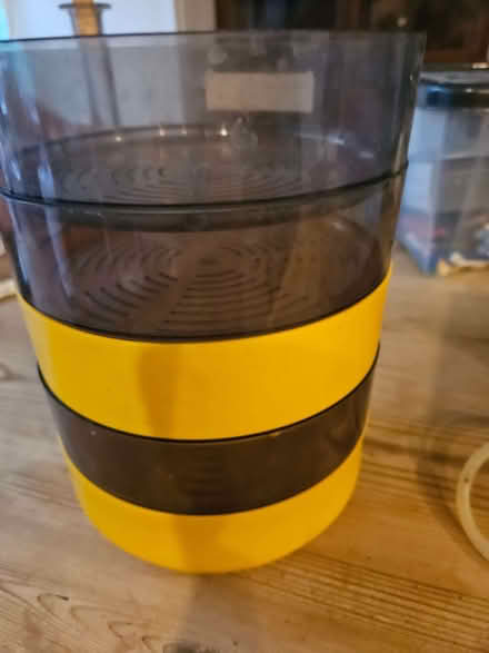 Photo of free Sprouter (Woodingdean BN2) #1