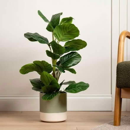 Photo of fake plants (Pe19 6tg) #1