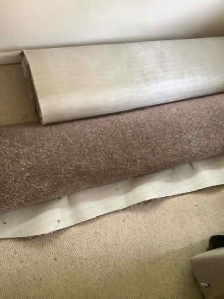 Photo of free Good quality off cuts carpet (B61 Bournheath) #1