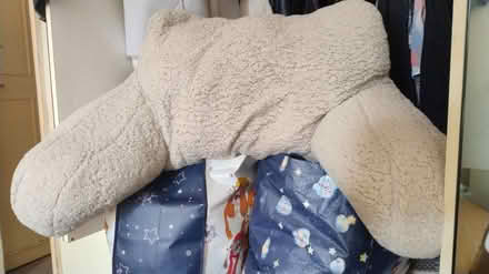 Photo of free Large cuddle cushion (Chorley centre PR7) #1