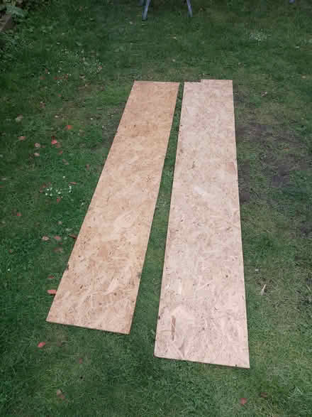 Photo of free OSB boards - 11mm think (Jennyfield HG3) #1