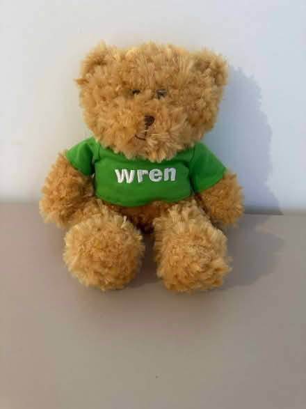 Photo of free Teddy (Oakwood Derby) #1