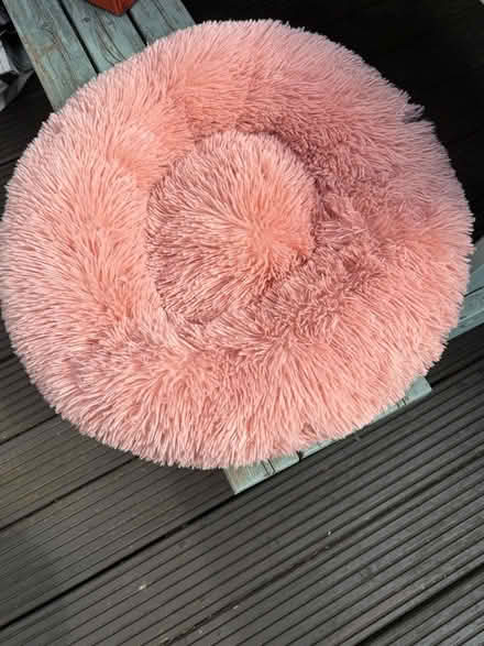 Photo of free Pink Cat Bed (Brentwood CM14) #1