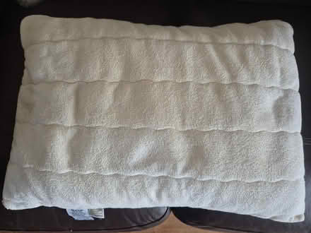 Photo of free Pillows x 2 (Hillingdon UB7) #2