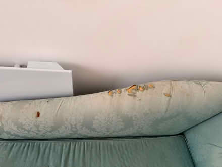 Photo of free Teal Sofa with fold out bed (West Marina TN38) #3