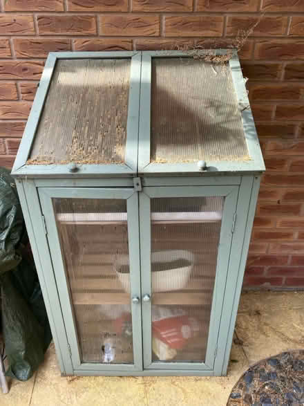 Photo of free Small Outdoor Greenhouse (B77) #1