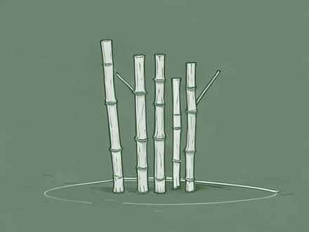 Photo of Bamboo sticks and twine (Monkwick CO2) #1
