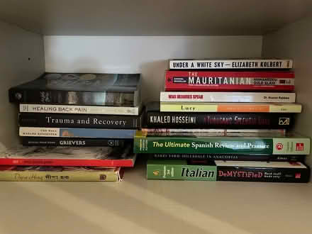Photo of free Books (noma) #1