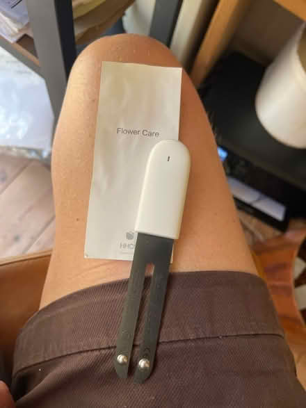 Photo of free Auto flower care probe (Lewes) #1
