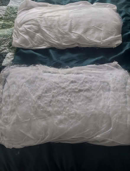 Photo of free Two Pillows (Upper Wolvercote OX2) #1
