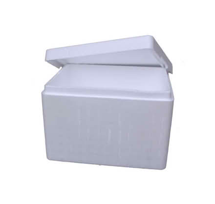 Photo of Styrofoam/ polystrene box (Horfield) #1