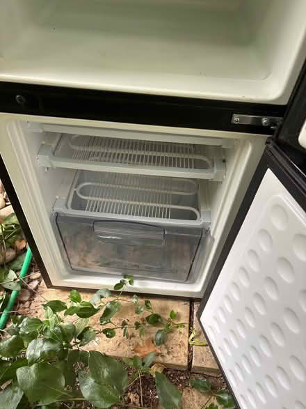 Photo of free LEC Fridge Freezer (Mongewell Wallingford OX10) #3