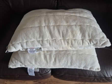 Photo of free Pillows x 2 (Hillingdon UB7) #1