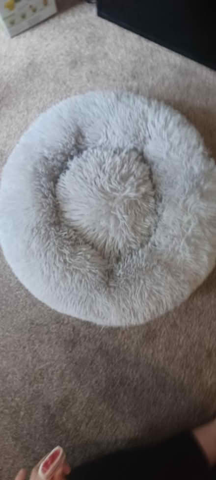 Photo of free Pet bed (M32) #1