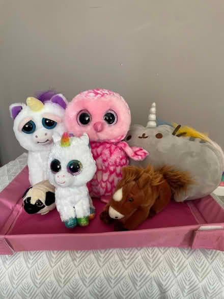 Photo of free Cuddlies, one with anger issues (Haywards Heath) #1