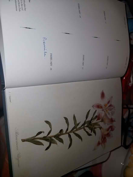 Photo of free Book for art/craft project? (Weybridge KT13) #3