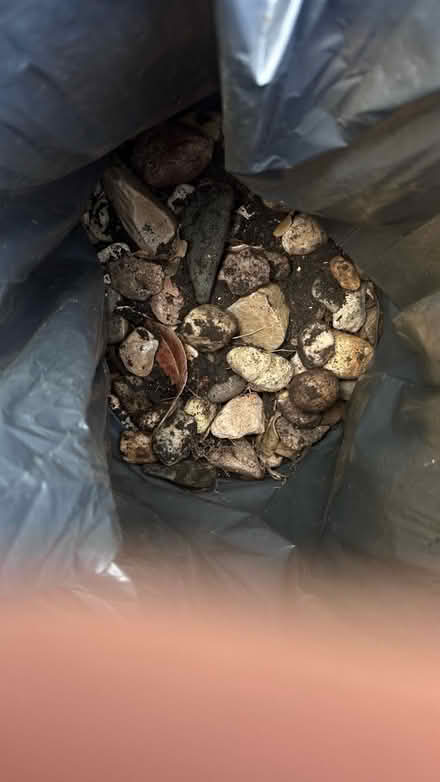 Photo of free 5 bags of mixed stones (Brixton SW9) #2