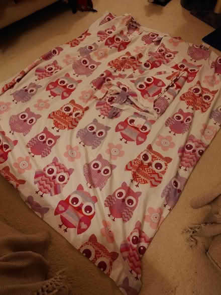 Photo of free Pair of Owl Curtains (Tonbridge) #1