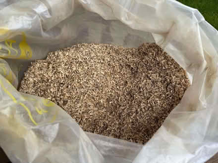 Photo of free Wood shavings (Neilston G78) #2