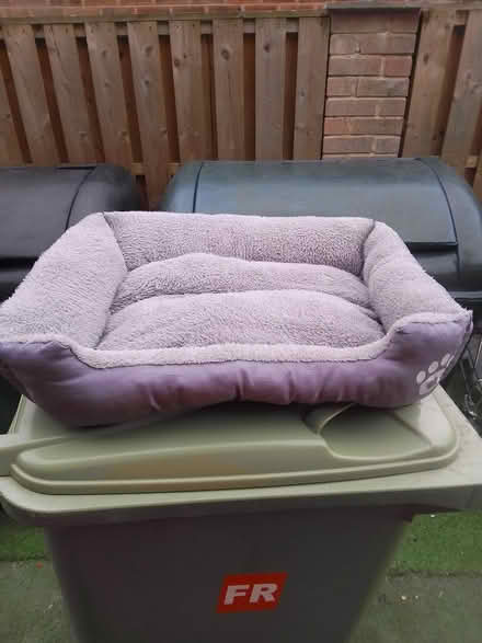 Photo of free Dog bed (Killamarsh S21) #1