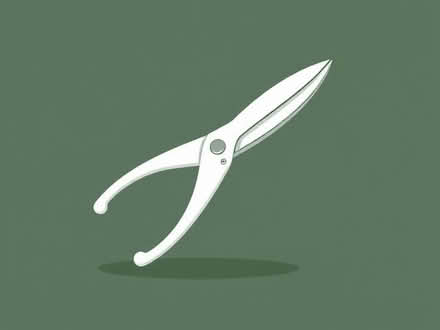 Photo of garden shears (Hartington Road BN2) #1